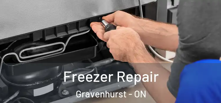 Freezer Repair Gravenhurst - ON