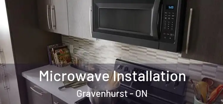 Microwave Installation Gravenhurst - ON