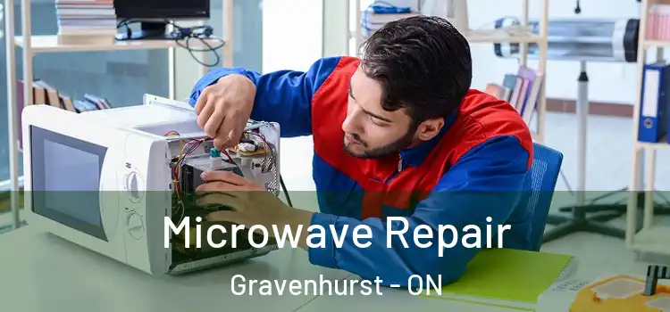 Microwave Repair Gravenhurst - ON