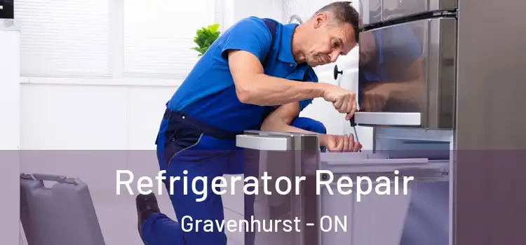 Refrigerator Repair Gravenhurst - ON