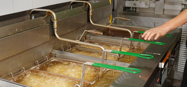 Avantgarde Commercial Fryer Repair in Gravenhurst