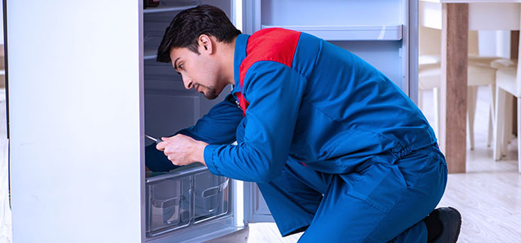 Avantgarde Freezer Repair Services in Gravenhurst